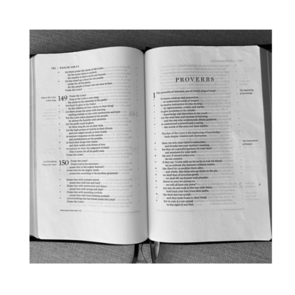 The Book of Proverbs