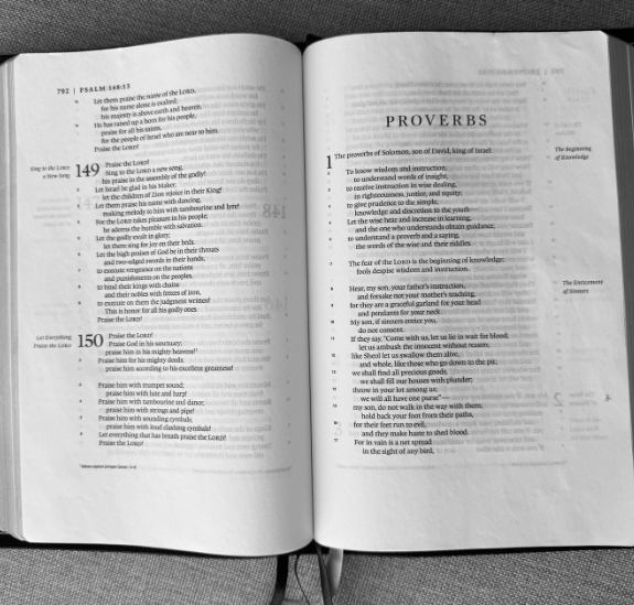 The Book of Proverbs