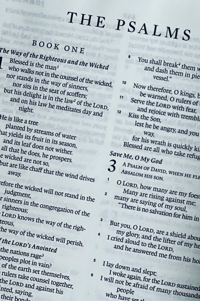 Psalm 19